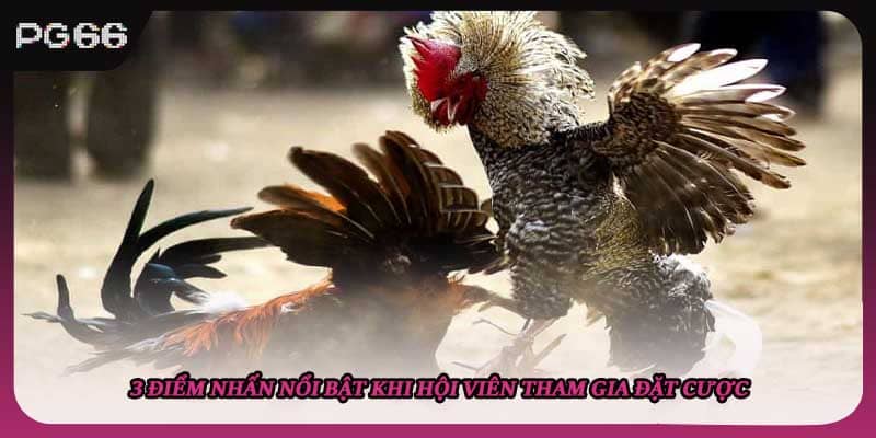 3 điểm nhấn nổi bật khi hội viên tham gia đặt cược 3 điểm nhấn nổi bật khi hội viên tham gia đặt cược