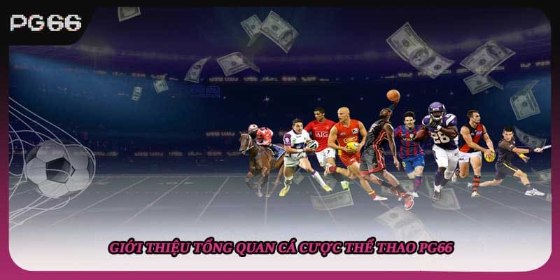 Giới thiệu tổng quan cá cược thể thao PG66 Giới thiệu tổng quan cá cược thể thao PG66