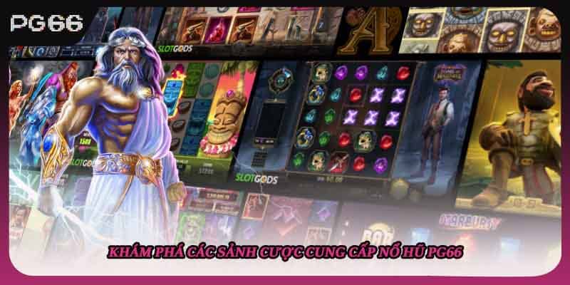 Khám phá các sảnh cược cung cấp nổ hũ PG66