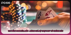 Tin Đồn PG66 Lừa Đảo - Đánh Giá Độ Thực Hư Có Chính Xác